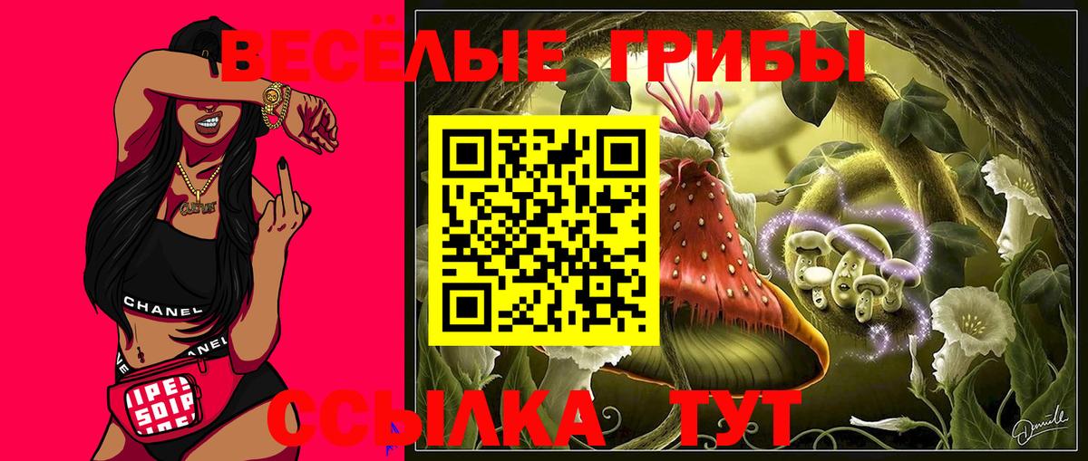 Псилоцибиновые грибы Magic Shrooms  Псилоцибиновые грибы мицелий  Сосновоборск  Вход с VPN 