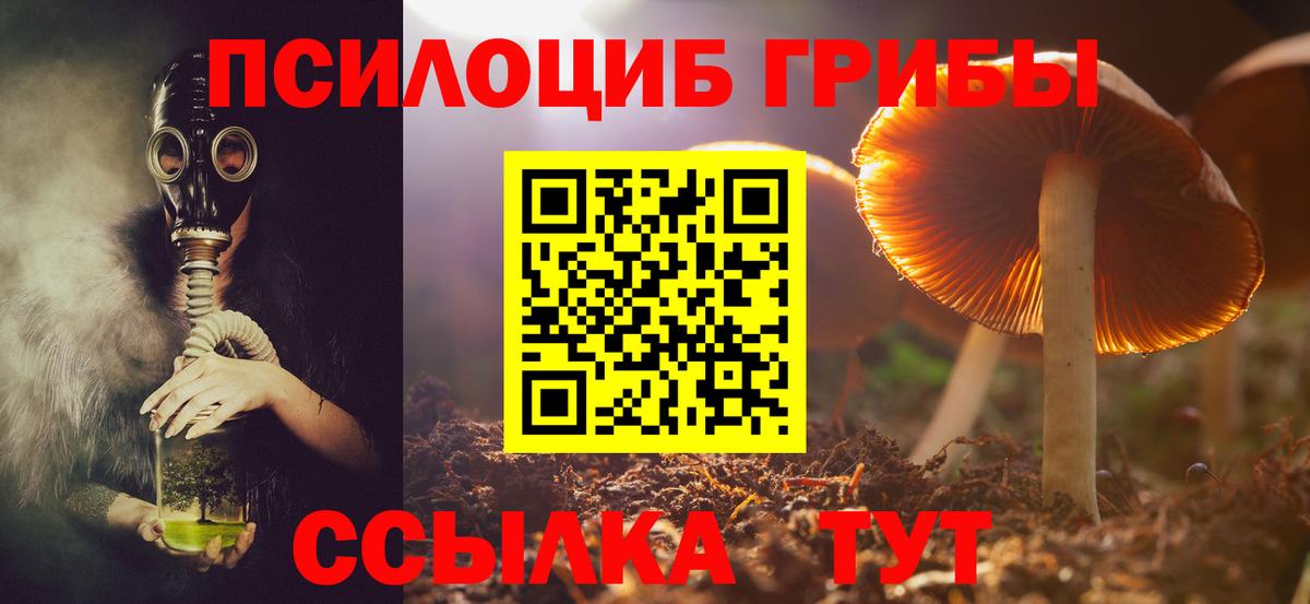 Меф Сосновоборск